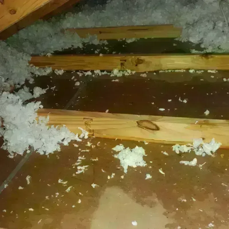 Attic Water Damage in Anaconda, MT